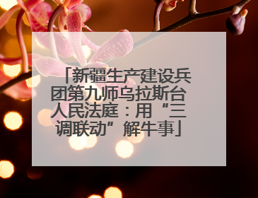 新疆生产建设兵团第九师乌拉斯台人民法庭：用“三调联动”解牛事