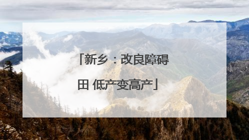 新乡：改良障碍田 低产变高产