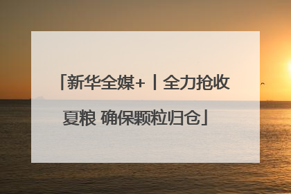 新华全媒+丨全力抢收夏粮 确保颗粒归仓
