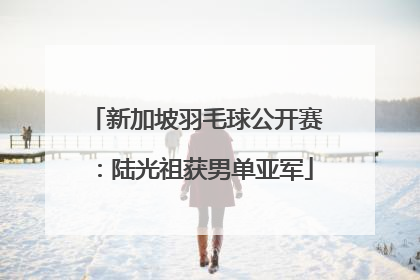 新加坡羽毛球公开赛：陆光祖获男单亚军