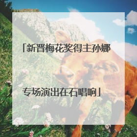 新晋梅花奖得主孙娜专场演出在石唱响