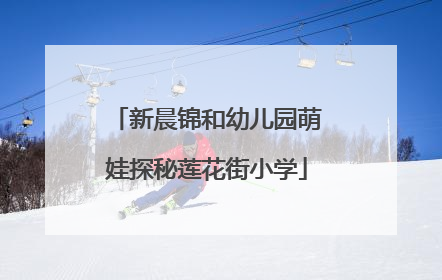 新晨锦和幼儿园萌娃探秘莲花街小学