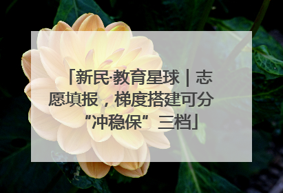 新民·教育星球｜志愿填报，梯度搭建可分“冲稳保”三档