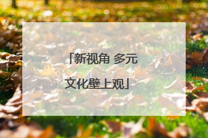 新视角 多元文化壁上观