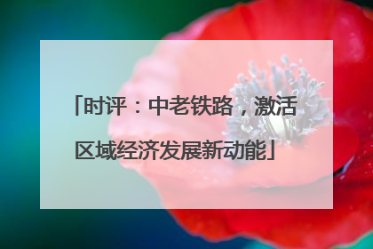 时评：中老铁路，激活区域经济发展新动能