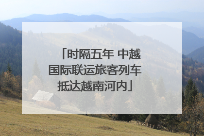 时隔五年 中越国际联运旅客列车抵达越南河内