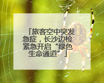 旅客空中突发急症，长沙边检紧急开启“绿色生命通道”