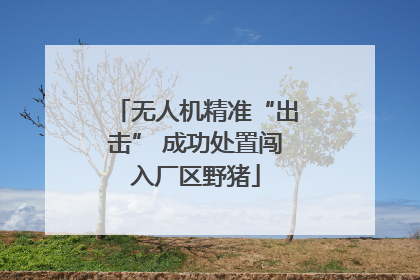 无人机精准“出击” 成功处置闯入厂区野猪
