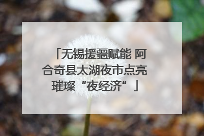无锡援疆赋能 阿合奇县太湖夜市点亮璀璨“夜经济”