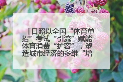 日照以全国“体育单招”考试“引流”赋能体育消费“扩容”，塑造城市经济的多维“增长极”——校地“携手”，打造“以赛营城”新范式