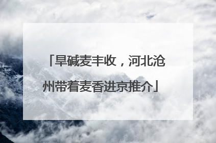旱碱麦丰收，河北沧州带着麦香进京推介