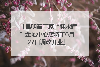 昆明第二家“胖永辉”金地中心店将于6月27日调改开业