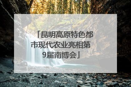 昆明高原特色都市现代农业亮相第9届南博会