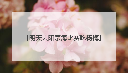 明天去阳宗海比赛吃杨梅