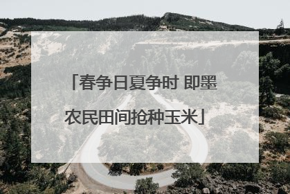 春争日夏争时 即墨农民田间抢种玉米