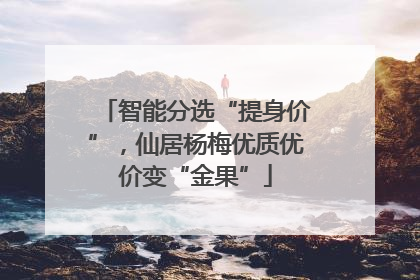 智能分选“提身价”，仙居杨梅优质优价变“金果”