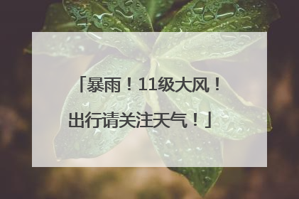 暴雨！11级大风！出行请关注天气！