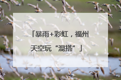 暴雨+彩虹，福州天空玩“混搭”