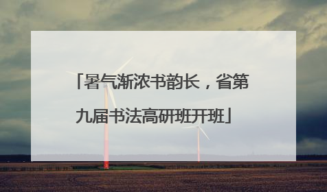 暑气渐浓书韵长，省第九届书法高研班开班