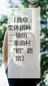 曲阜：集体耕种一块田 二张曲村“稻”路宽