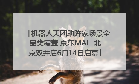 机器人天团助阵家场景全品类覆盖 京东MALL北京双井店6月14日启幕