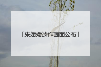 朱媛媛遗作画面公布
