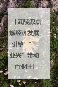 武陵源点燃经济发展引擎 “一业兴”带动百业旺