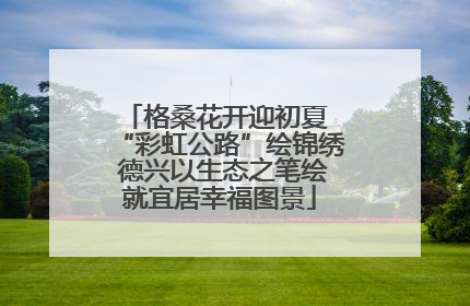 格桑花开迎初夏 “彩虹公路”绘锦绣 德兴以生态之笔绘就宜居幸福图景