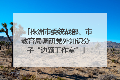 株洲市委统战部、市教育局调研党外知识分子“边颖工作室”