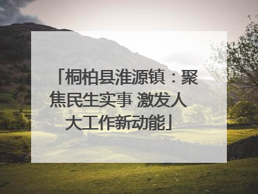 桐柏县淮源镇：聚焦民生实事 激发人大工作新动能