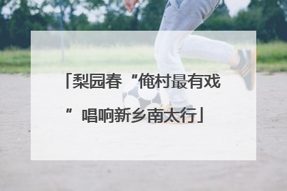 梨园春“俺村最有戏”唱响新乡南太行
