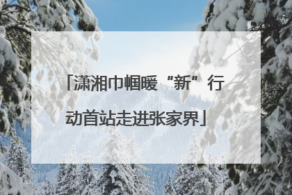 潇湘巾帼暖“新”行动首站走进张家界