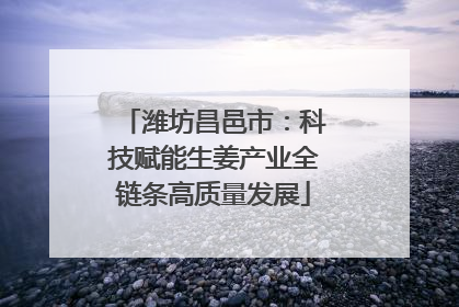 潍坊昌邑市：科技赋能生姜产业全链条高质量发展