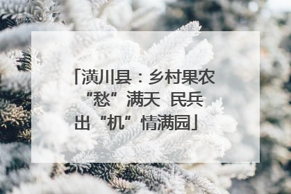 潢川县：乡村果农“愁”满天  民兵出“机”情满园