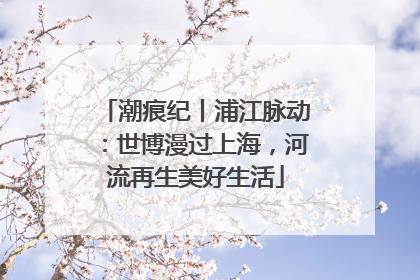 潮痕纪丨浦江脉动：世博漫过上海，河流再生美好生活