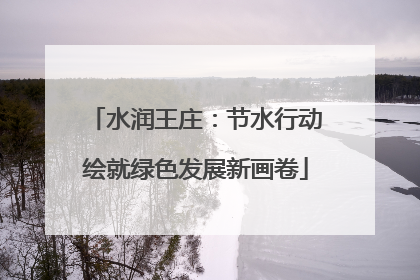 水润王庄：节水行动绘就绿色发展新画卷