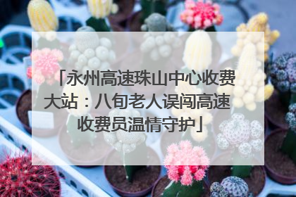 永州高速珠山中心收费大站：八旬老人误闯高速 收费员温情守护