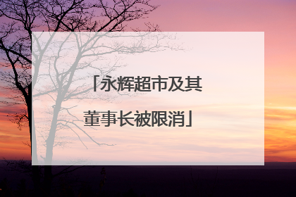 永辉超市及其董事长被限消