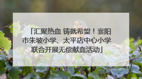 汇聚热血 铸就希望！襄阳市朱坡小学、太平店中心小学联合开展无偿献血活动