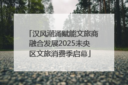汉风潮涌赋能文旅商融合发展2025未央区文旅消费季启幕