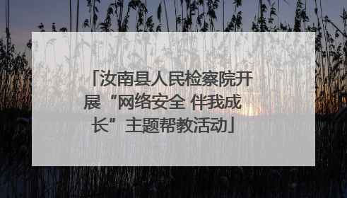 汝南县人民检察院开展“网络安全 伴我成长”主题帮教活动