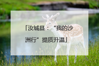 汝城县：“我的沙洲行”提质升温