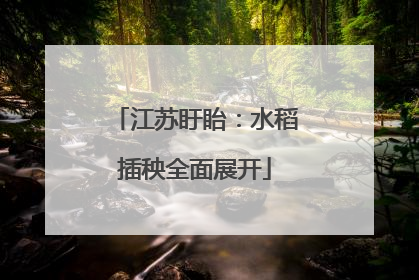 江苏盱眙：水稻插秧全面展开