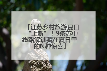 江苏乡村旅游夏日“上新”！9条苏中线路解锁藏在夏日里的N种惊喜