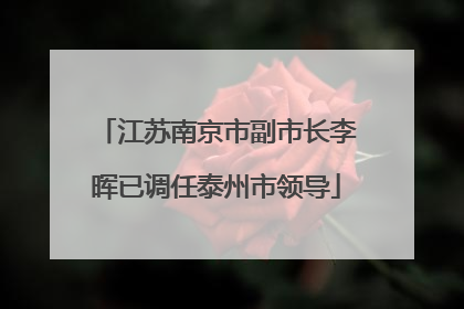 江苏南京市副市长李晖已调任泰州市领导
