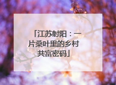 江苏射阳：一片桑叶里的乡村共富密码
