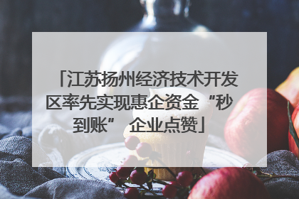 江苏扬州经济技术开发区率先实现惠企资金“秒到账” 企业点赞