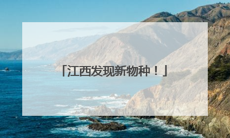 江西发现新物种！