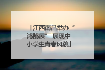 江西南昌举办“鸿鹄展” 展现中小学生青春风貌