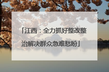 江西：全力抓好整改整治解决群众急难愁盼
